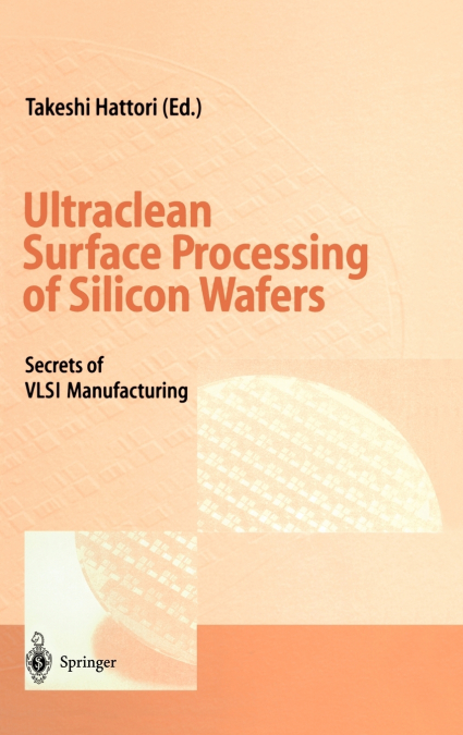 Ultraclean Surface Processing of Silicon Wafers