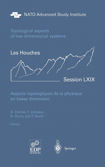 Aspects topologiques de la physique en basse dimension. Topological aspects of low dimensional systems