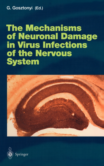 The Mechanisms of Neuronal Damage in Virus Infections of the Nervous System