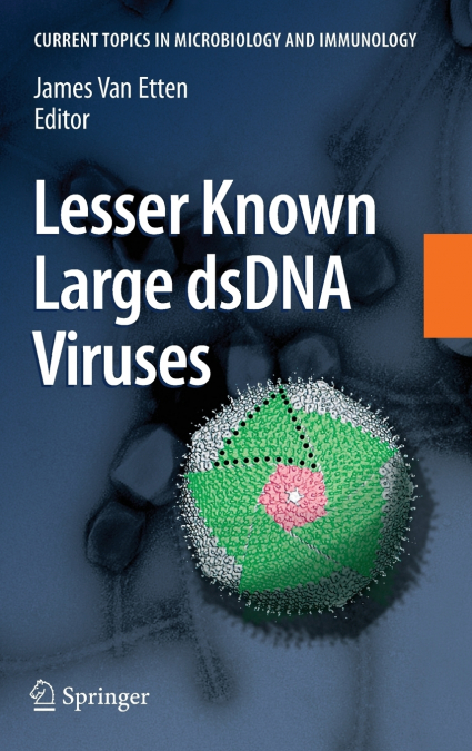 Lesser Known Large dsDNA Viruses