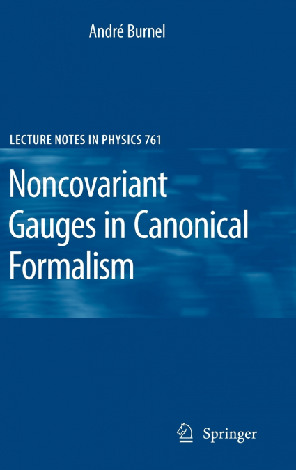 Noncovariant Gauges in Canonical Formalism