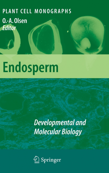 Endosperm
