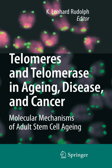 Telomeres and Telomerase in Ageing, Disease, and Cancer