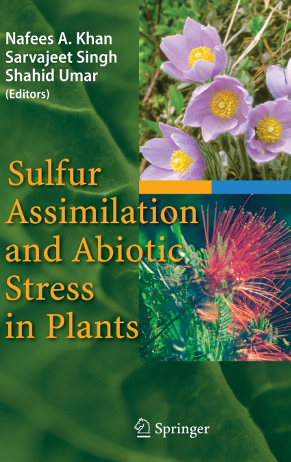 Sulfur Assimilation and Abiotic Stress in Plants