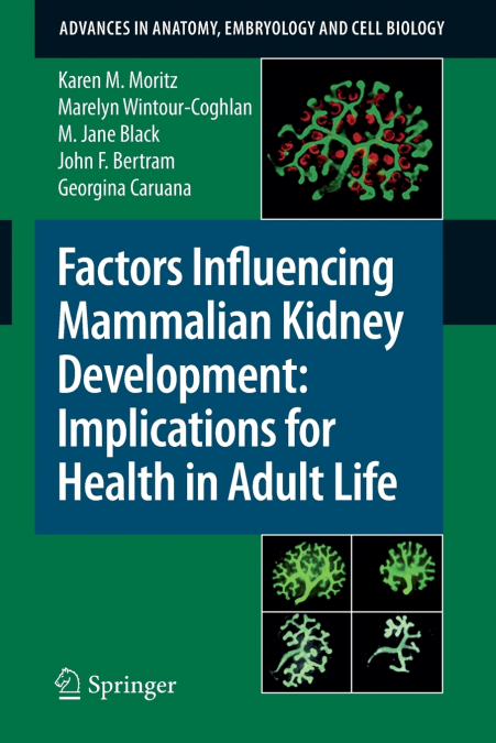 Factors Influencing Mammalian Kidney Development