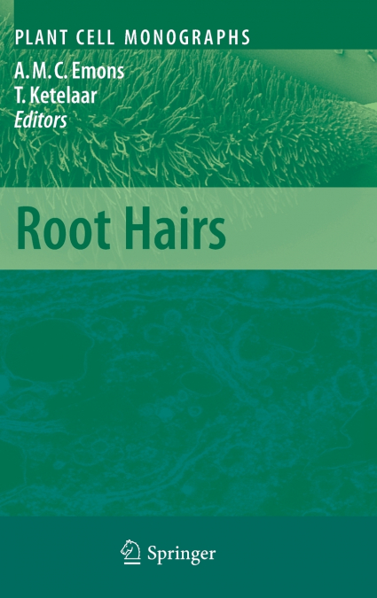 Root Hairs