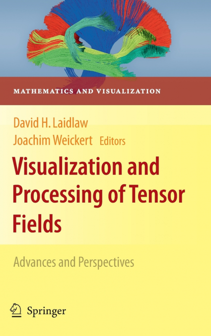 Visualization and Processing of Tensor Fields