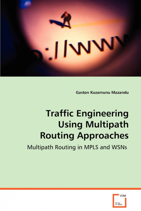 Traffic Engineering Using Multipath Routing Approaches