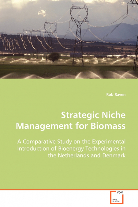 Strategic Niche Management for Biomass