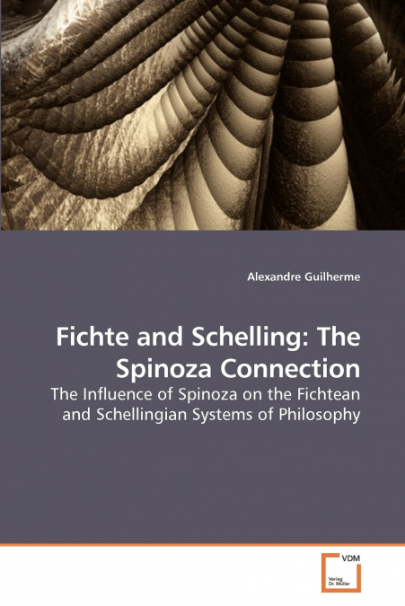 Fichte and Schelling