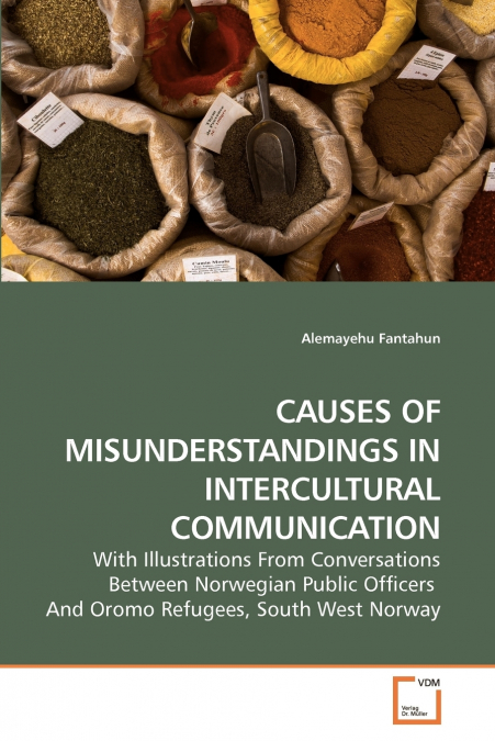 CAUSES OF MISUNDERSTANDINGS IN             INTERCULTURAL COMMUNICATION