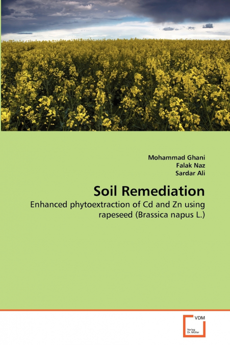 Soil Remediation