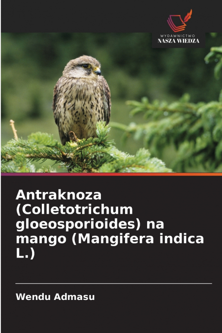 Antraknoza (Colletotrichum gloeosporioides) na mango (Mangifera indica L.)