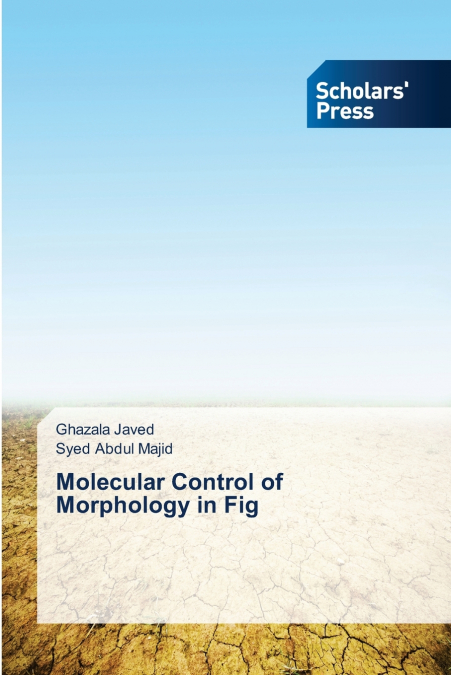 Molecular Control of Morphology in Fig