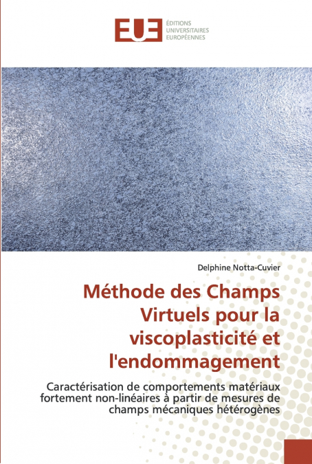 Méthode des Champs Virtuels pour la viscoplasticité et l’endommagement