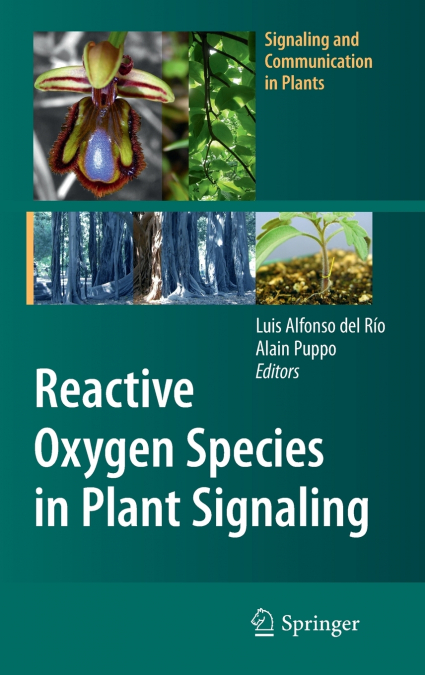 Reactive Oxygen Species in Plant Signaling