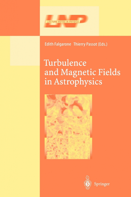 Turbulence and Magnetic Fields in Astrophysics