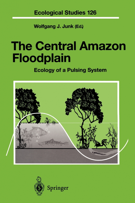The Central Amazon Floodplain