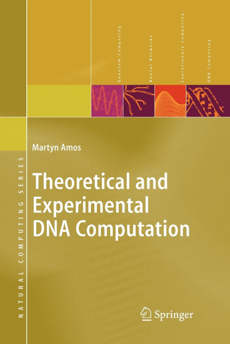 Theoretical and Experimental DNA Computation