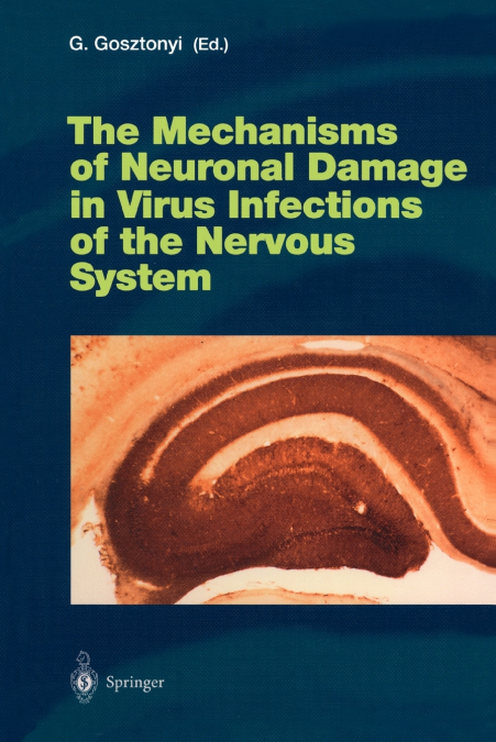 The Mechanisms of Neuronal Damage in Virus Infections of the Nervous System