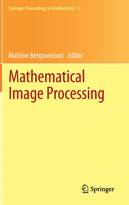 Mathematical Image Processing