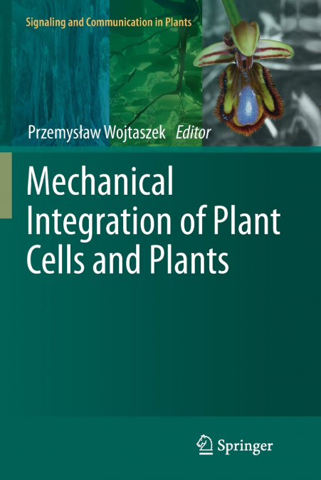 Mechanical Integration of Plant Cells and Plants