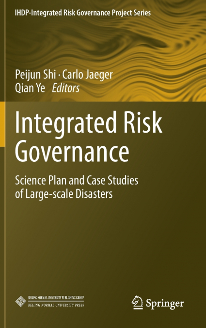 Integrated Risk Governance