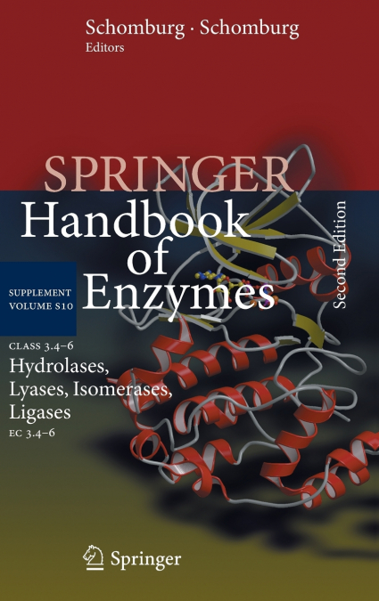 Class 3.4-6 Hydrolases, Lyases, Isomerases, Ligases