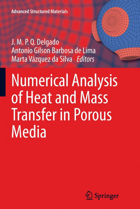 Numerical Analysis of Heat and Mass Transfer in Porous Media
