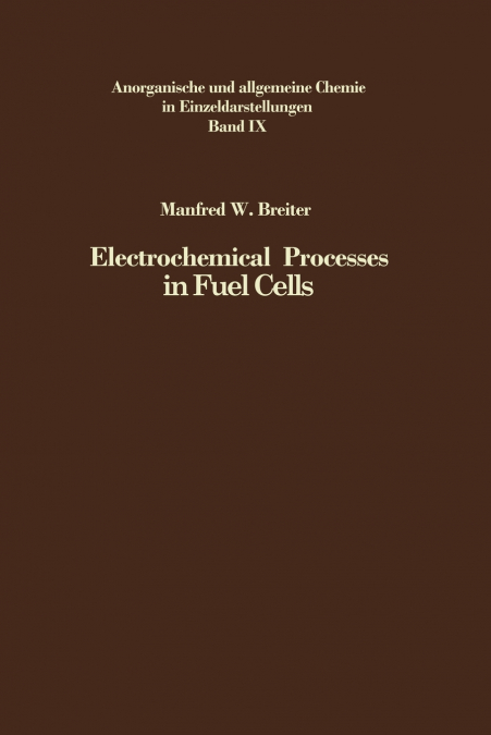 Electrochemical Processes in Fuel Cells