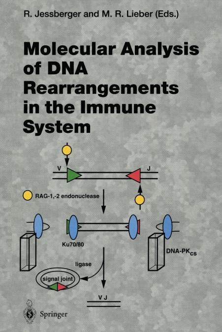 Molecular Analysis of DNA Rearrangements in the Immune System