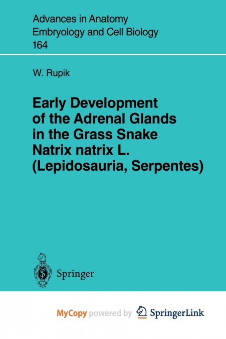 Early Development of the Adrenal Glands in the Grass Snake Natrix natrix L. (Lepidosauria, Serpentes)
