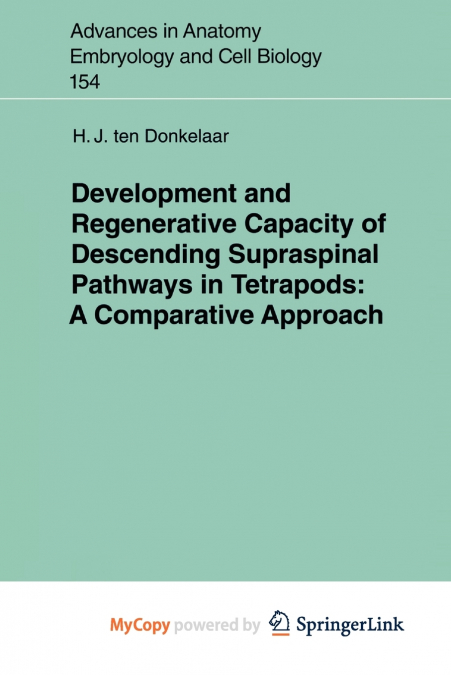 Development and Regenerative Capacity of Descending Supraspinal Pathways in Tetrapods