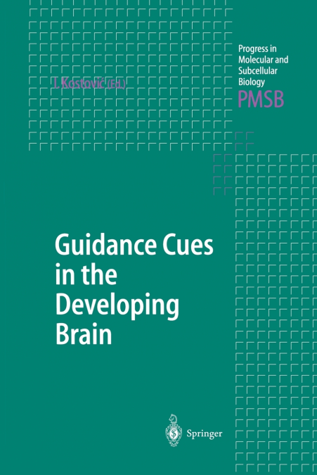 Guidance Cues in the Developing Brain