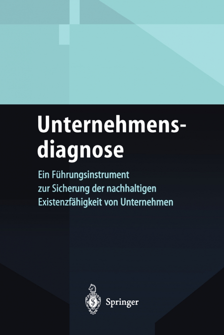 Unternehmensdiagnose