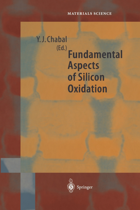 Fundamental Aspects of Silicon Oxidation