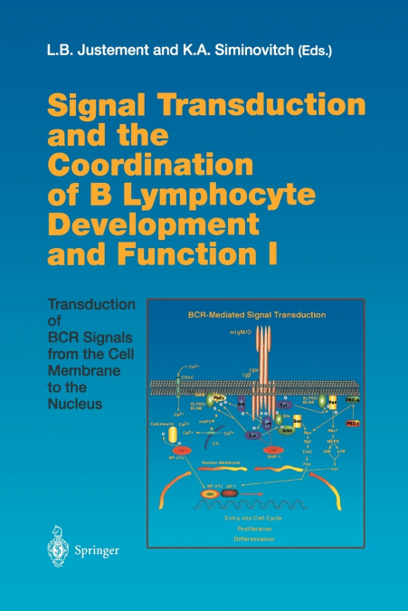 Signal Transduction and the Coordination of B Lymphocyte Development and Function I