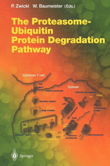 The Proteasome - Ubiquitin Protein Degradation Pathway