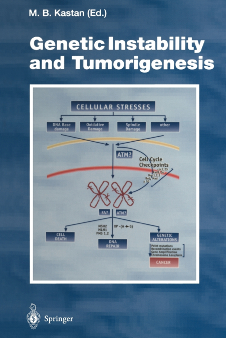 Genetic Instability and Tumorigenesis