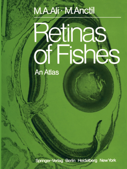 Retinas of Fishes