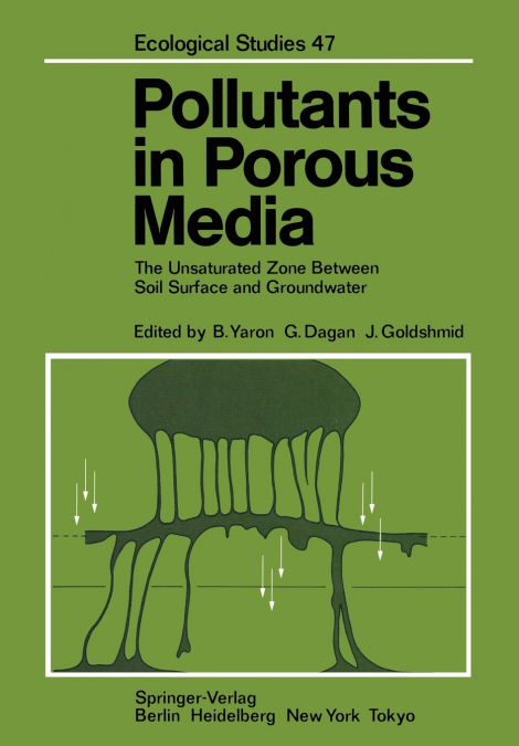 Pollutants in Porous Media