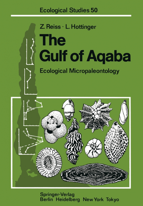 The Gulf of Aqaba