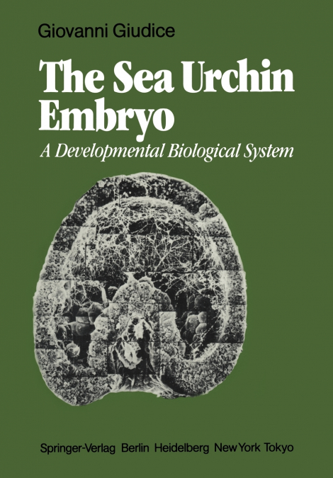 The Sea Urchin Embryo