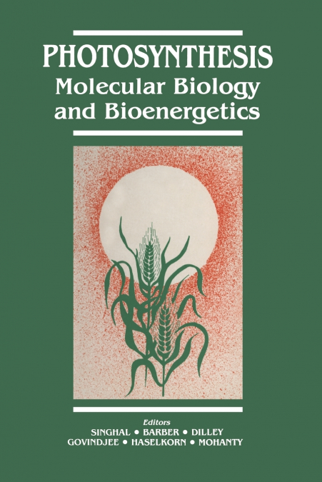 Photosynthesis