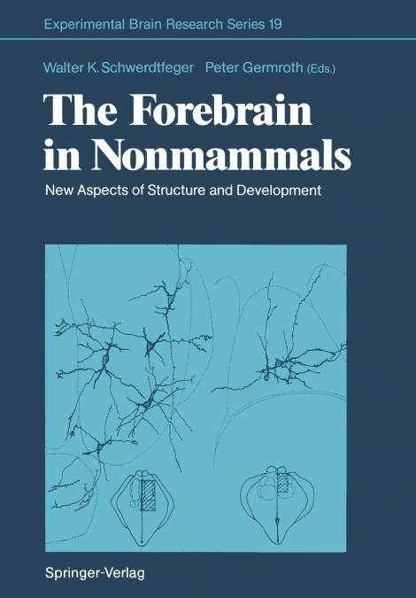 The Forebrain in Nonmammals