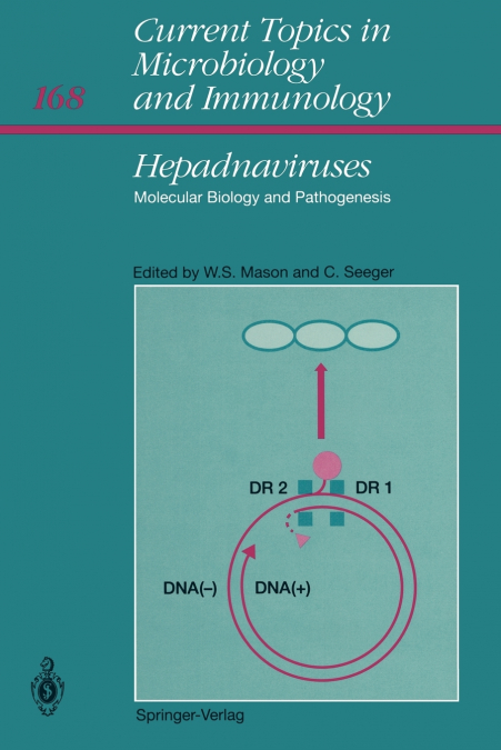 Hepadnaviruses