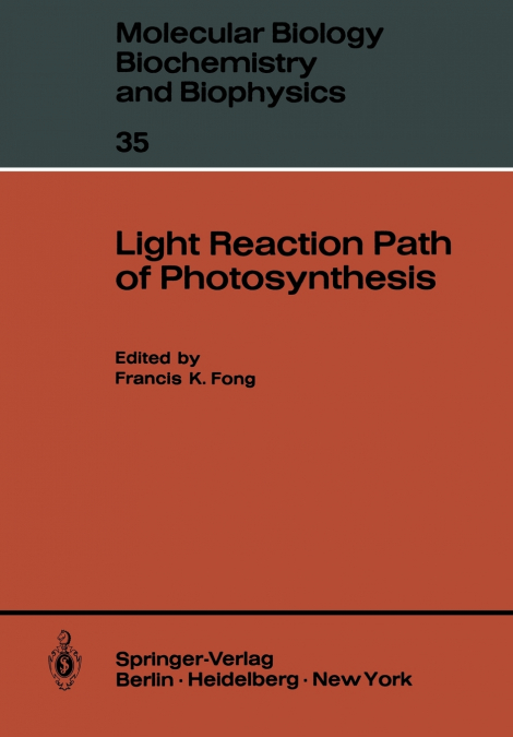 Light Reaction Path of Photosynthesis