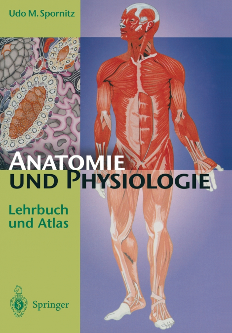 Anatomie und Physiologie