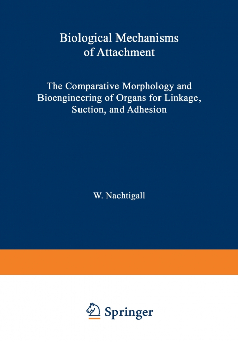 Biological Mechanisms of Attachment