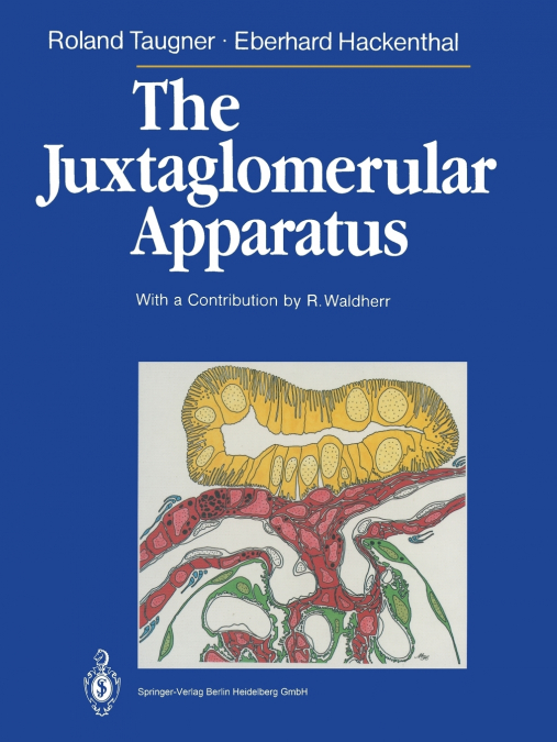 The Juxtaglomerular Apparatus